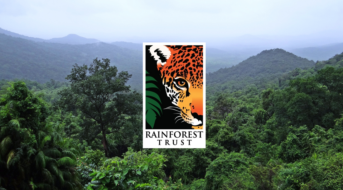Rainforest Trust: Champions of Conservation