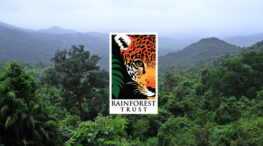 Rainforest Trust: Champions of Conservation
